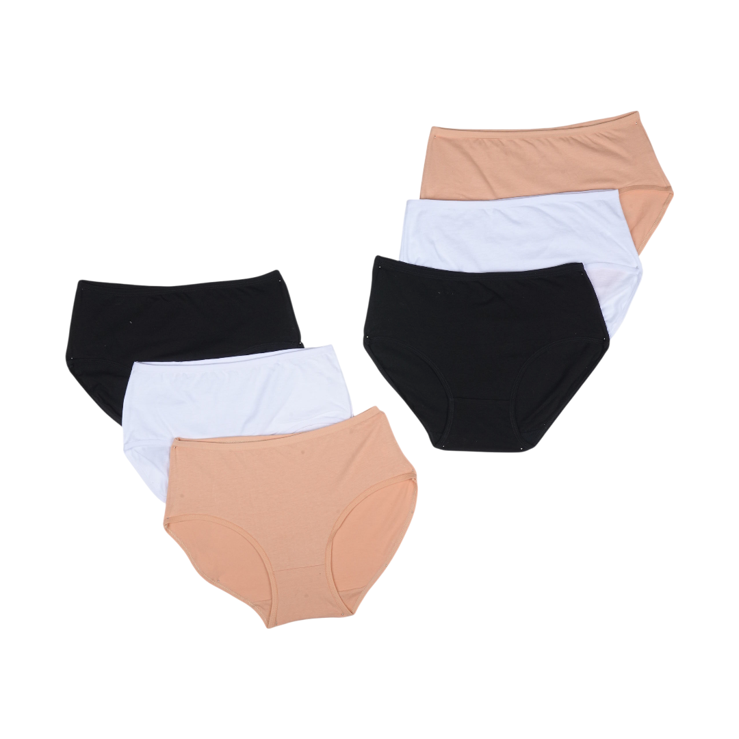 Belleza Lingerie Multi Color Brief Panty Pack Of 6-B237 Belleza Lingerie