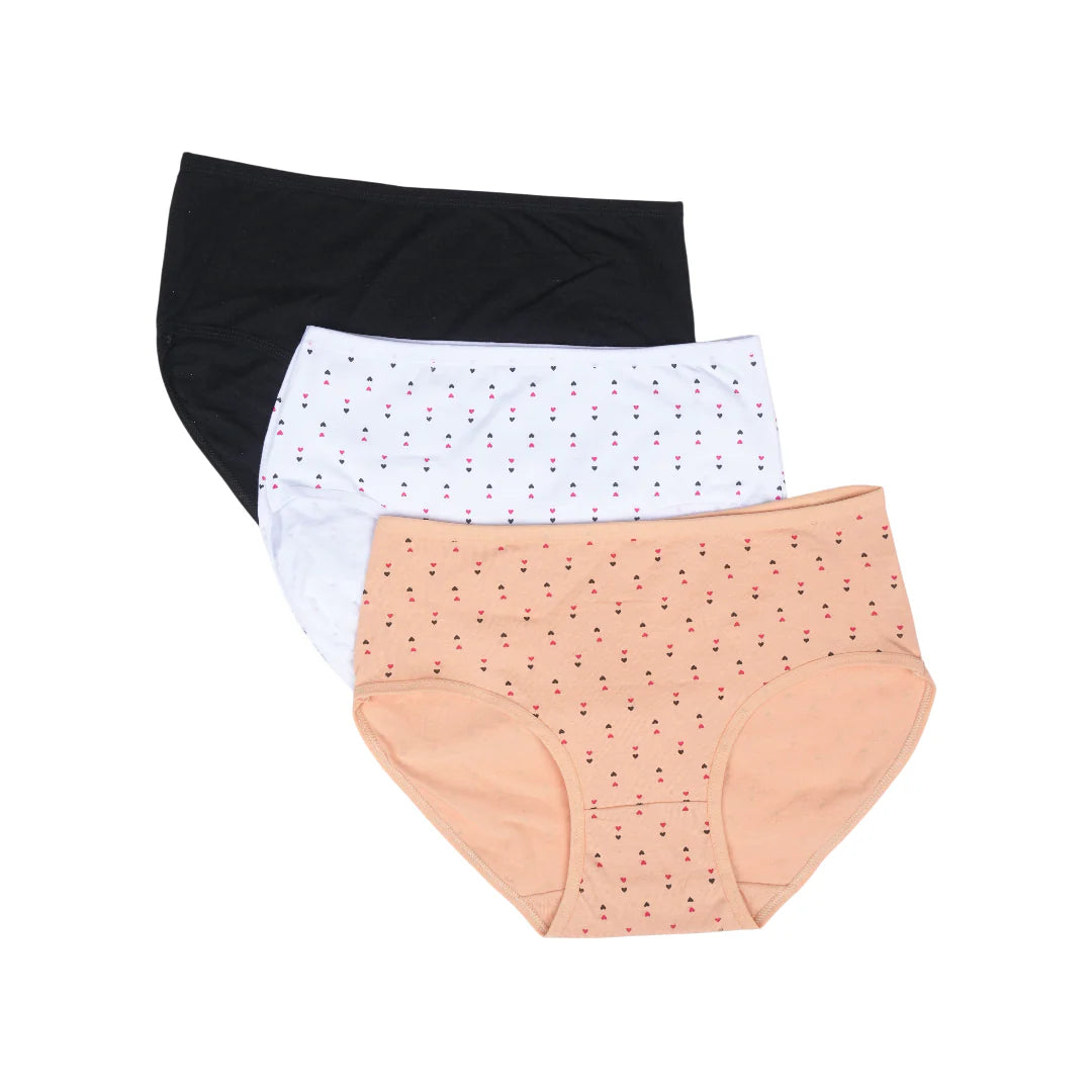 Belleza Lingerie Multi Color Brief Panty Pack Of 3-B246