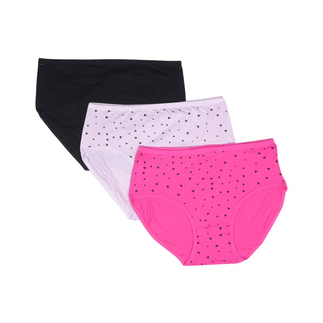 Belleza Lingerie Multi Color Brief Panty Pack Of 3-B247 Belleza Lingerie