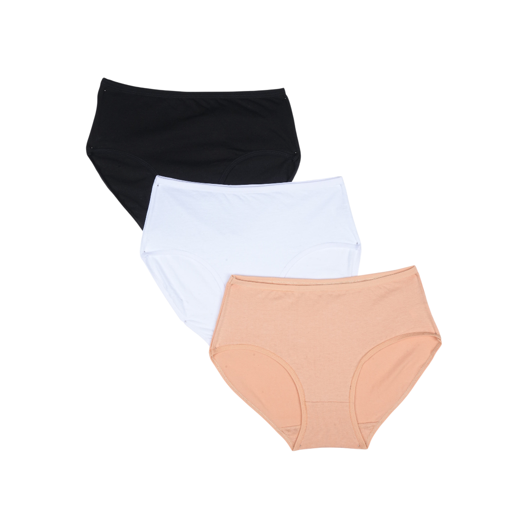 Belleza Lingerie Multi Color Brief Panty Pack Of 3-B253 Belleza Lingerie
