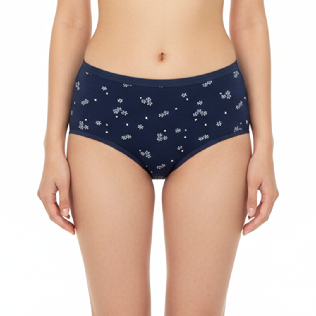 Multi Color Brief Panty Pack Of 6-B259 Belleza Lingerie