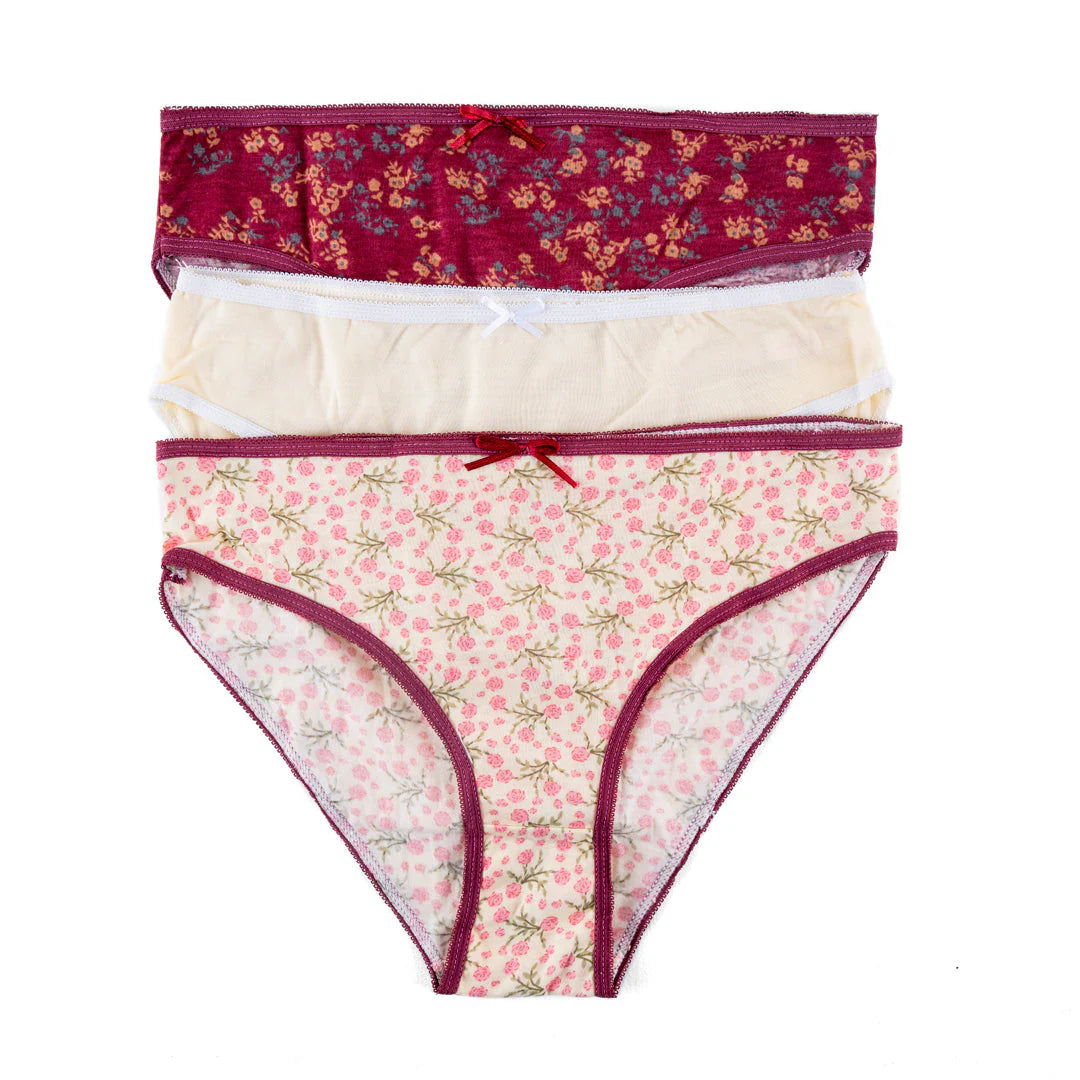 Belleza Lingerie High Leg Panty PS-04 (Pack of 3)