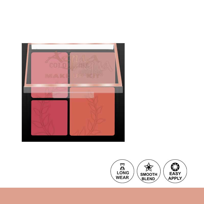 Aqua Color Line 4 Color Blusher Kit