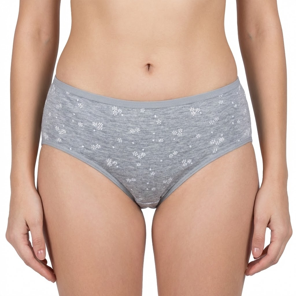 Multi Color Brief Panty Pack Of 6-B227 Belleza Lingerie