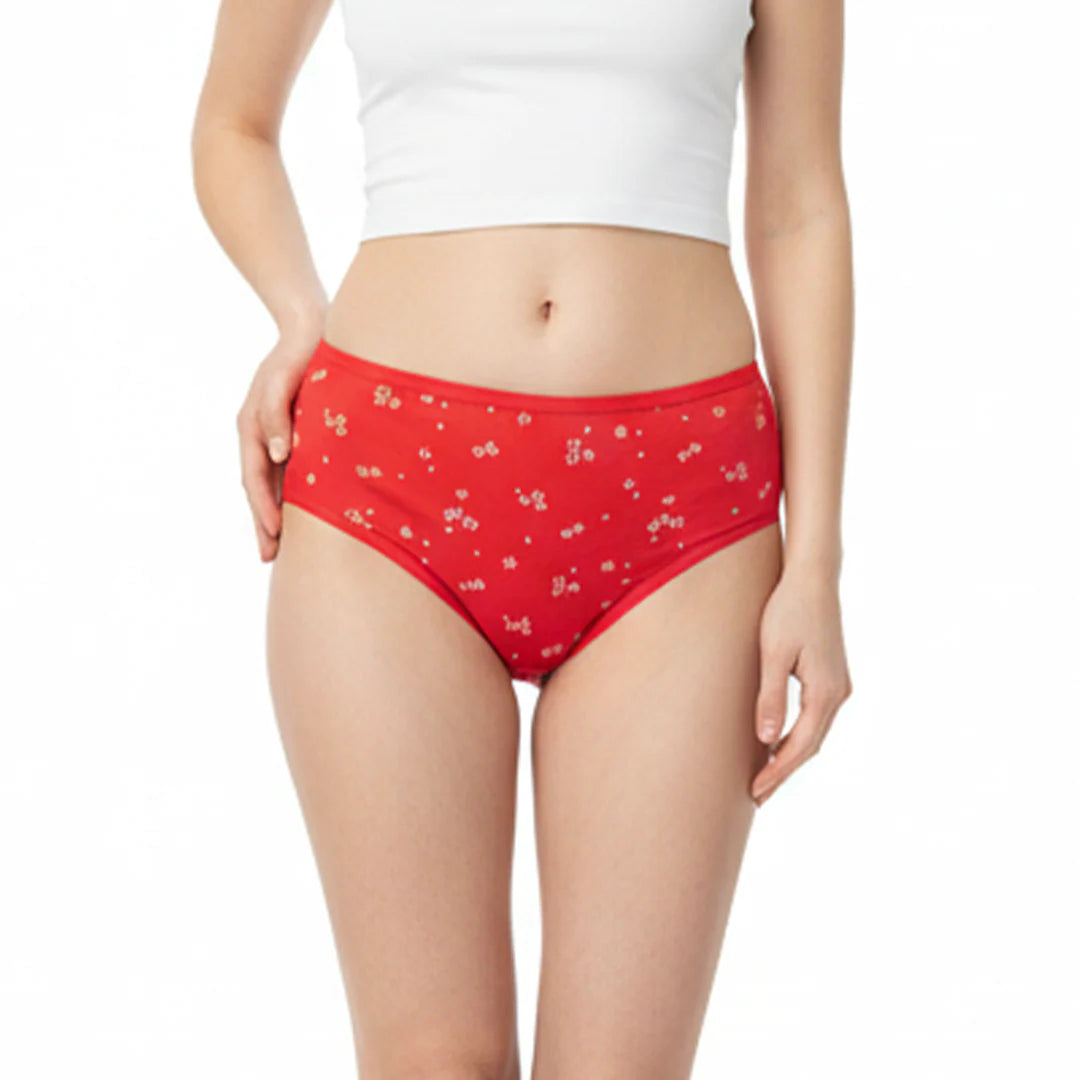 Belleza Lingerie Multi Color Brief Panty Pack Of 6-B227