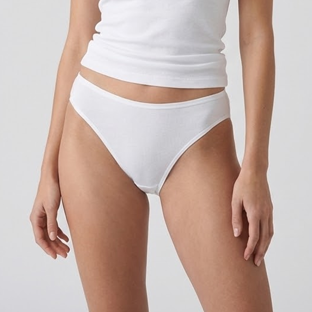 Multi Color Brief Panty Pack Of 3-B253 Belleza Lingerie