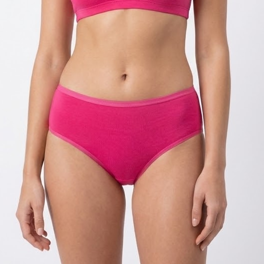 Multi Color Brief Panty Pack Of 6-B241 Belleza Lingerie