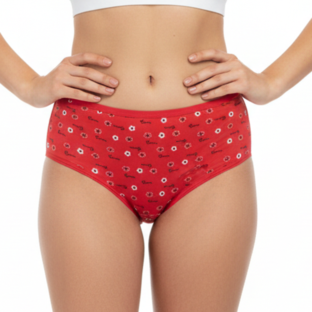 Multi Color Brief Panty Pack Of 6-B256 Belleza Lingerie