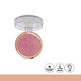 Aqua Color Line Terracotta Blusher & Highlighter 2-in-1