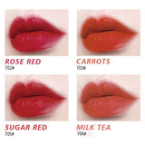 (1301) HengFang 4 in1 Lipgloss Rich Color For Attractive