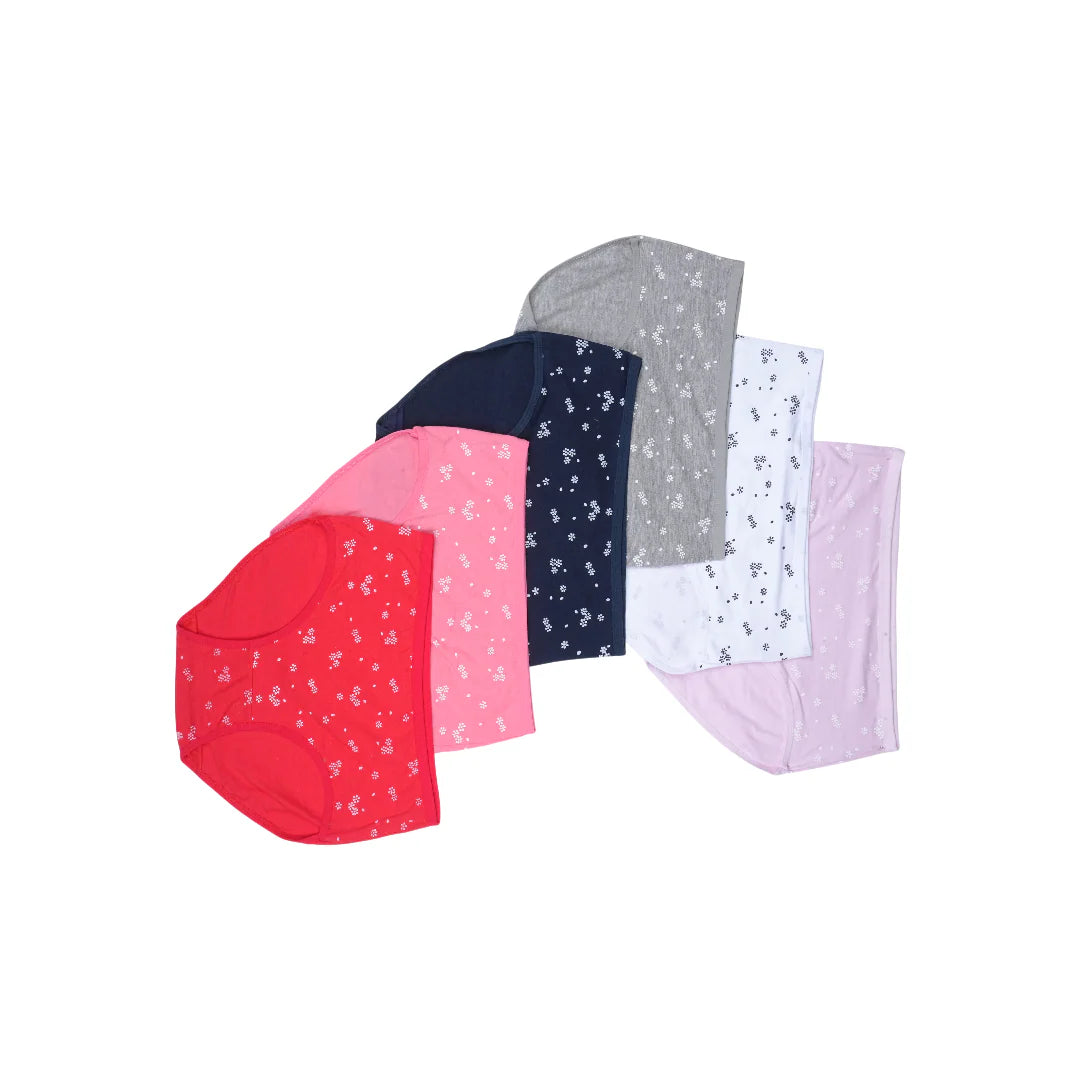 Belleza Lingerie Multi Color Brief Panty Pack Of 6-B227