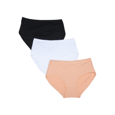 Belleza Lingerie Multi Color Brief Panty Pack Of 3-B253 Belleza Lingerie  