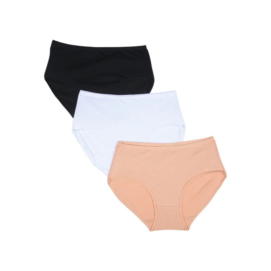 Belleza Lingerie Multi Color Brief Panty Pack Of 3-B253