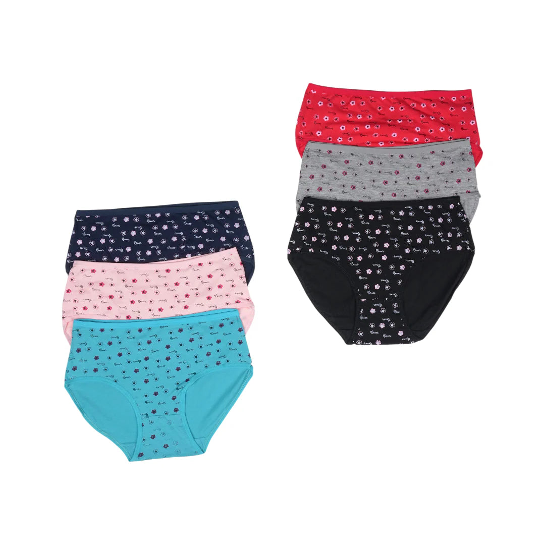 Belleza Lingerie Multi Color Brief Panty Pack Of 6-B256