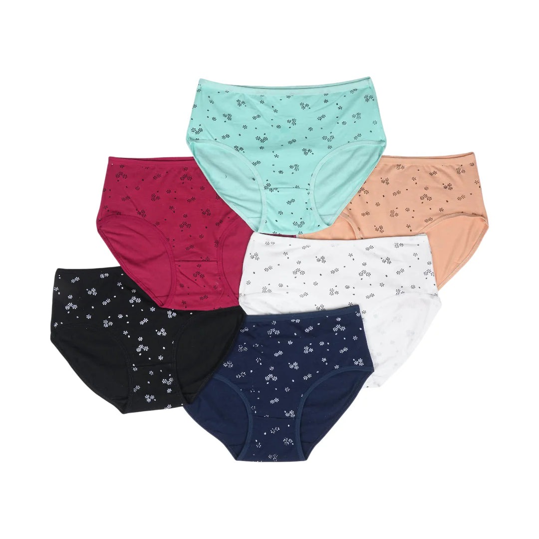 Belleza Lingerie Multi Color Brief Panty Pack Of 6-B259