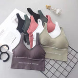 Yoga Sports Bra