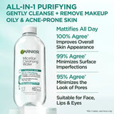 Garnier SkinActive Micellar Cleansing Water All-in-1 Purifying with Salicylic Acid