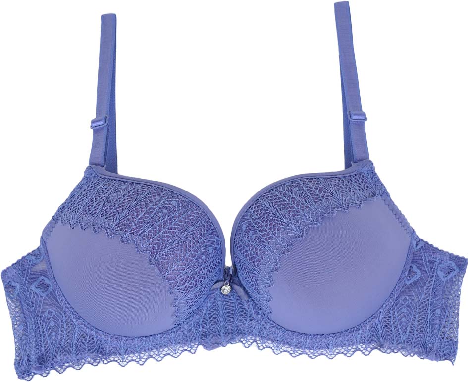 Belleza Lingerie Push Up Bra - CD088