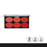 Aqua Color Line 6 Color Blush Palette