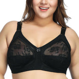 Doreen Bra