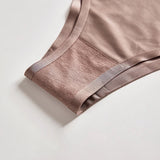 Ice Silk Thong Brief Panties Underwear